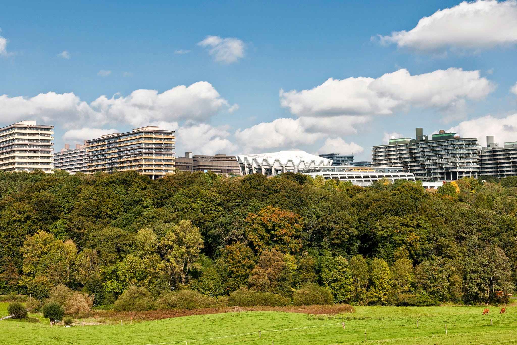  p>波鸿鲁尔大学(ruhr-universit  t bochum)是位于德国境内北莱茵