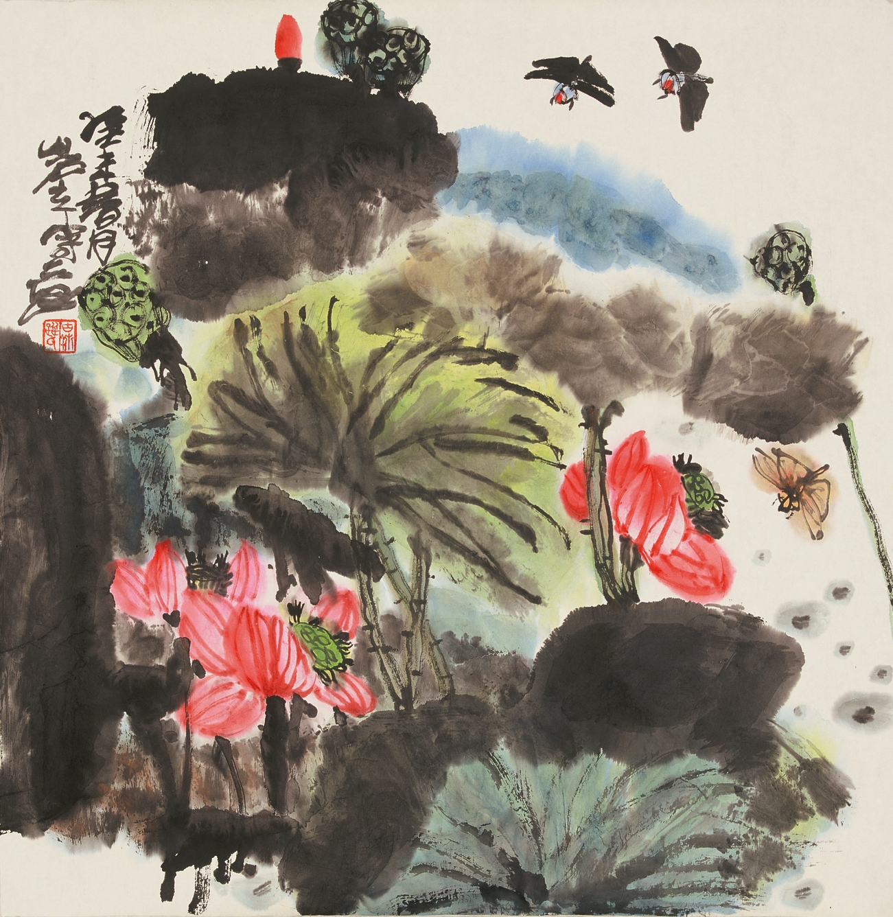 踪岩夫
