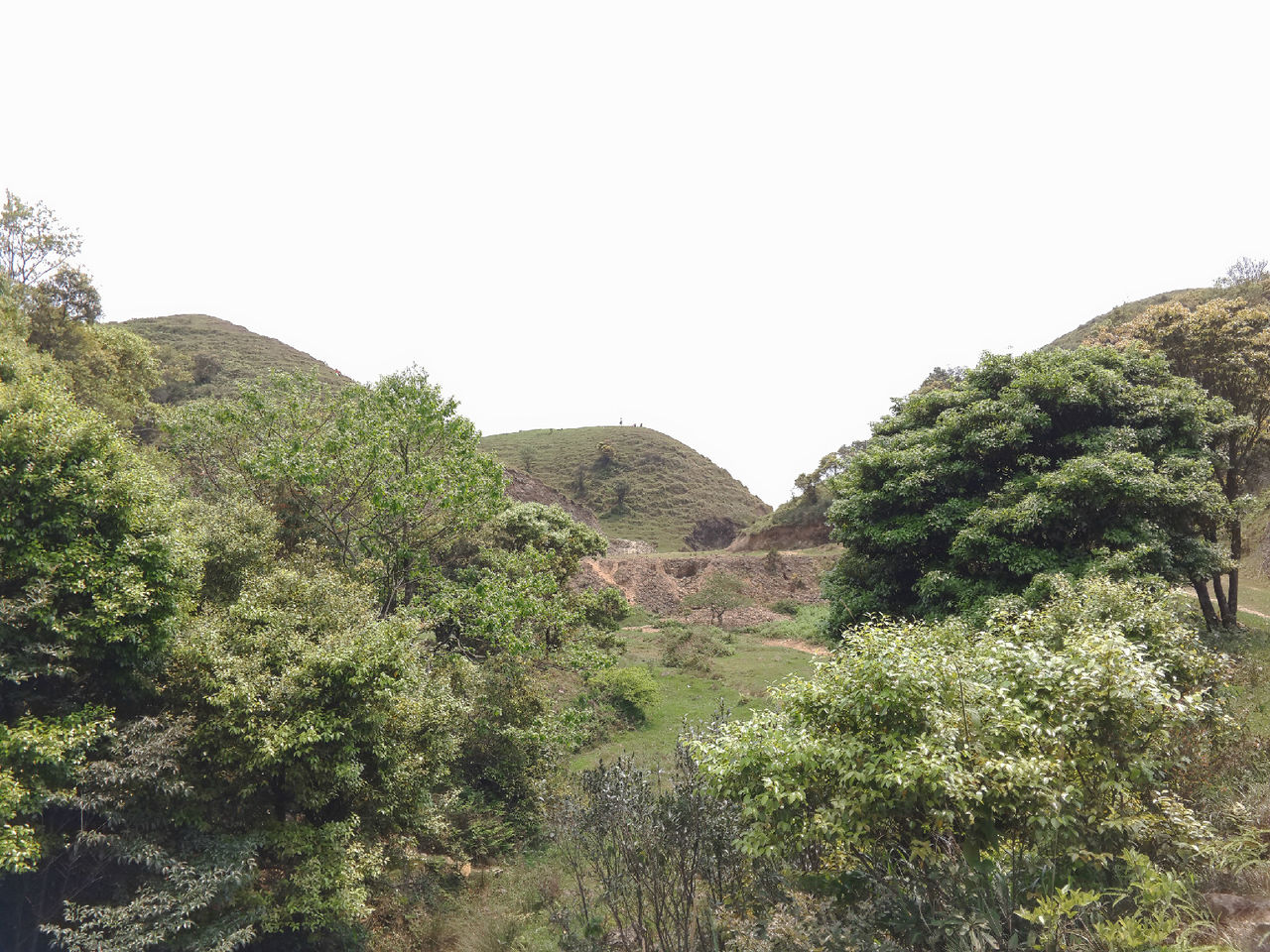  p>鸭兜山位于 a target="_blank" href="/item/广东省信宜市/2353886