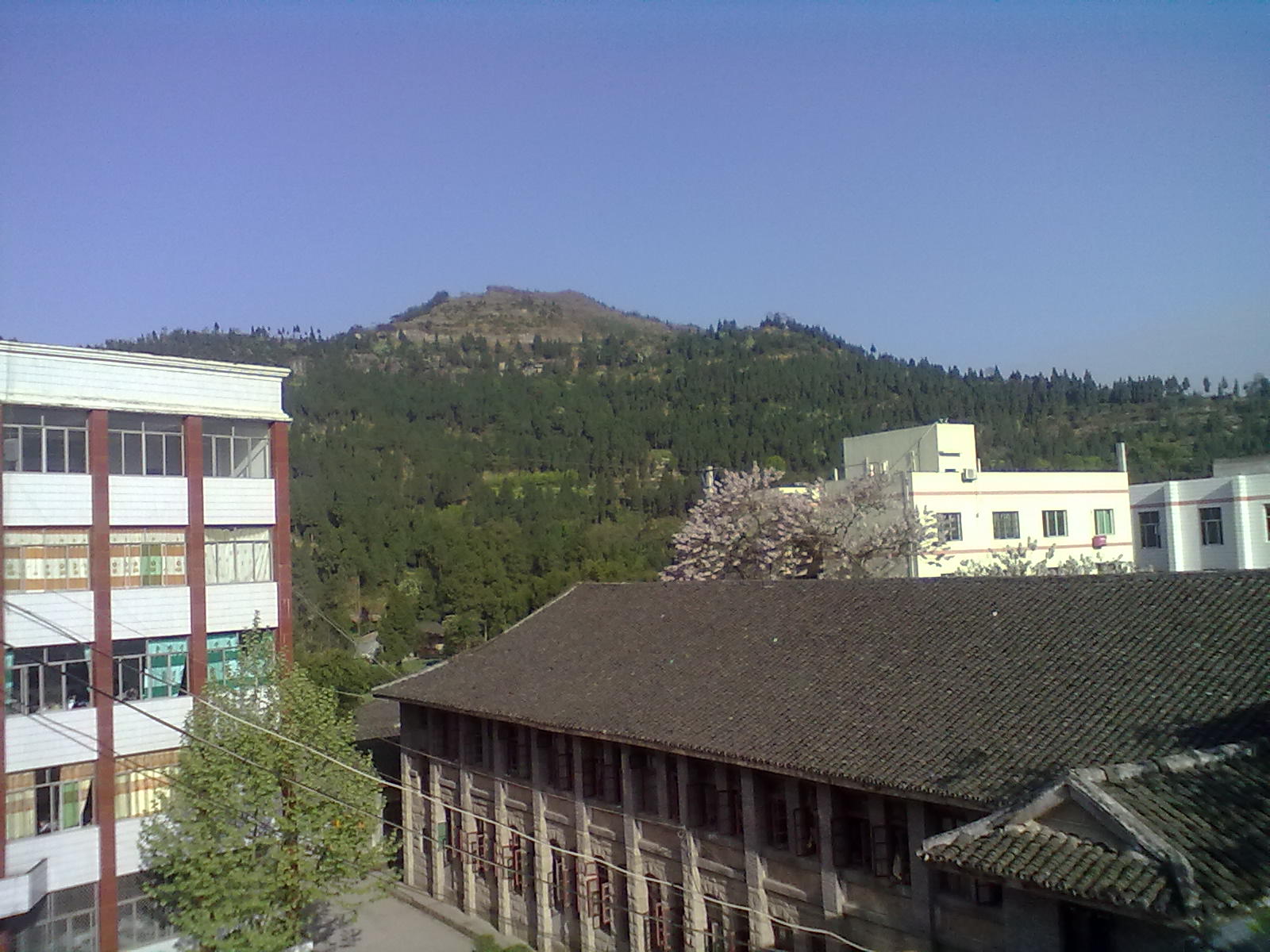  p>永乐镇,隶属于四川省南充市仪陇县,地处 a target="_blank" href="