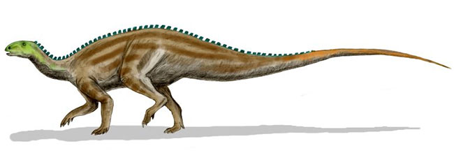 腱龙(tenontosaurus)