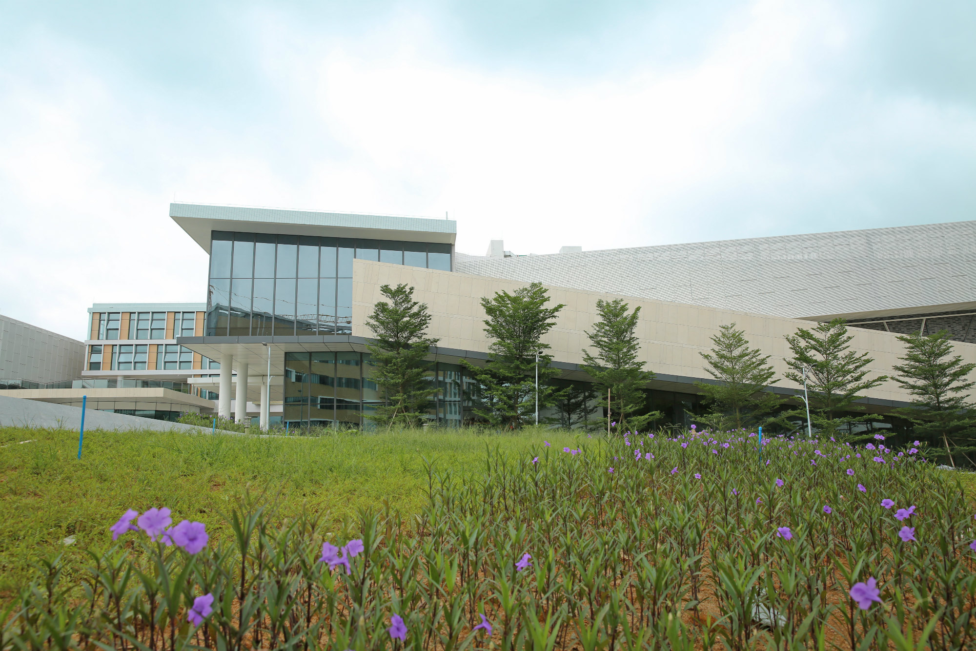  p>北京师范大学-香港浸会大学联合国际学院(中文简称"北师港浸大"