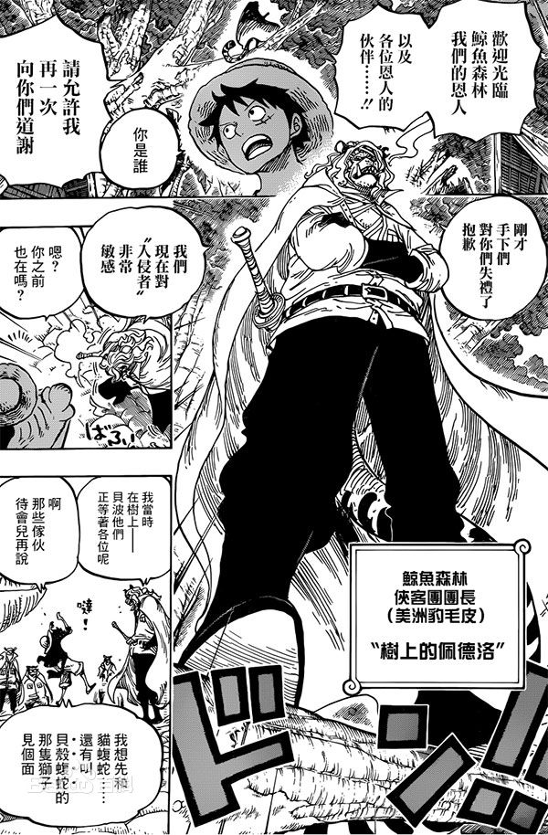  p>海贼王佐乌岛篇鲸鱼森林侠客团团长 /p>