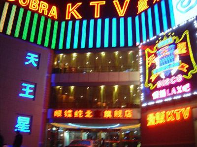 北京视点电子技术有限公司