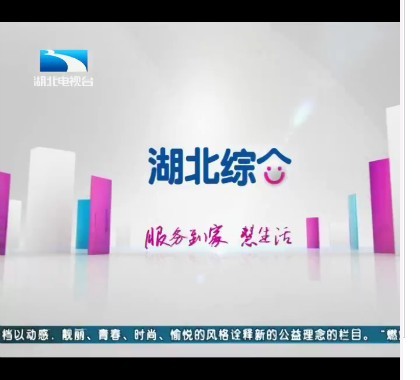 湖北广播电视台综合频道