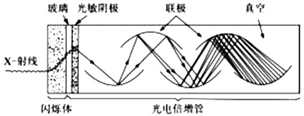 放射免疫测定仪器