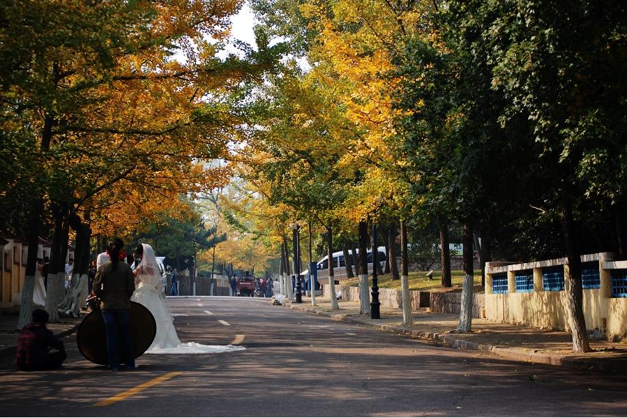  p>爱情角,坐落在风景秀丽的青岛信号山南麓,位于青岛八大关风景区内