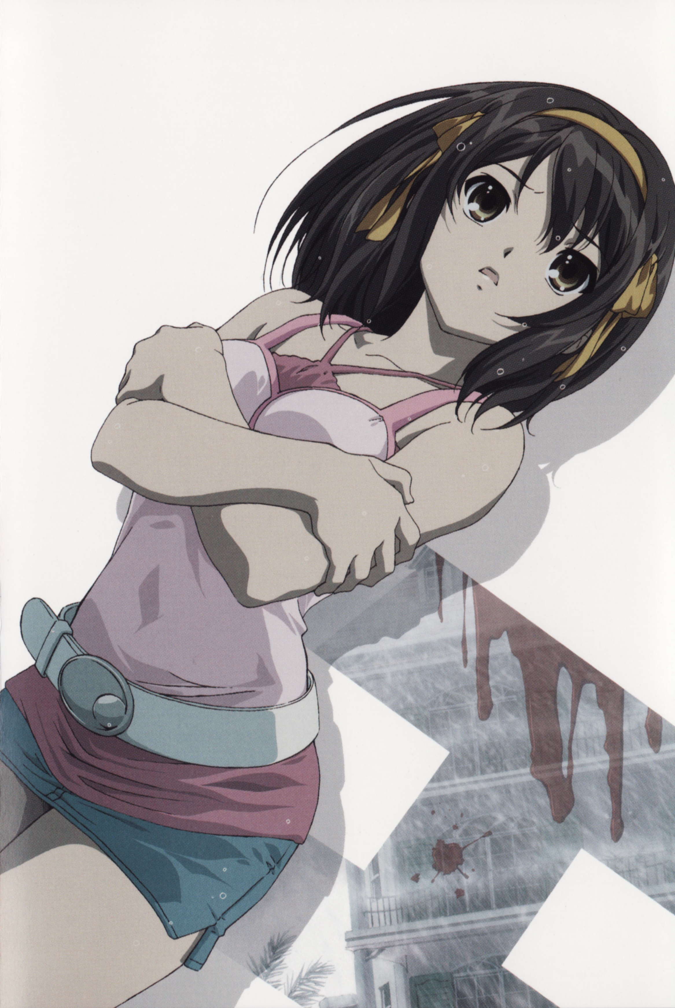 凉宫春日的忧郁2006