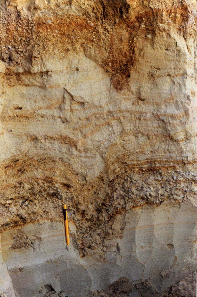 因最早在黄河三门峡地区研究而得名.三门期形成的地层称"三门组. /p>