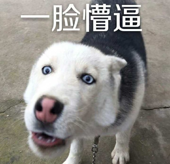 读音为měng bī,表示愣住,傻眼了,被眼前现象或者发生的事情震惊,不