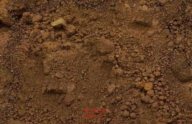  p>棕钙土的形成是以草原土壤腐殖质积累作用和钙积作用为主,并有荒漠