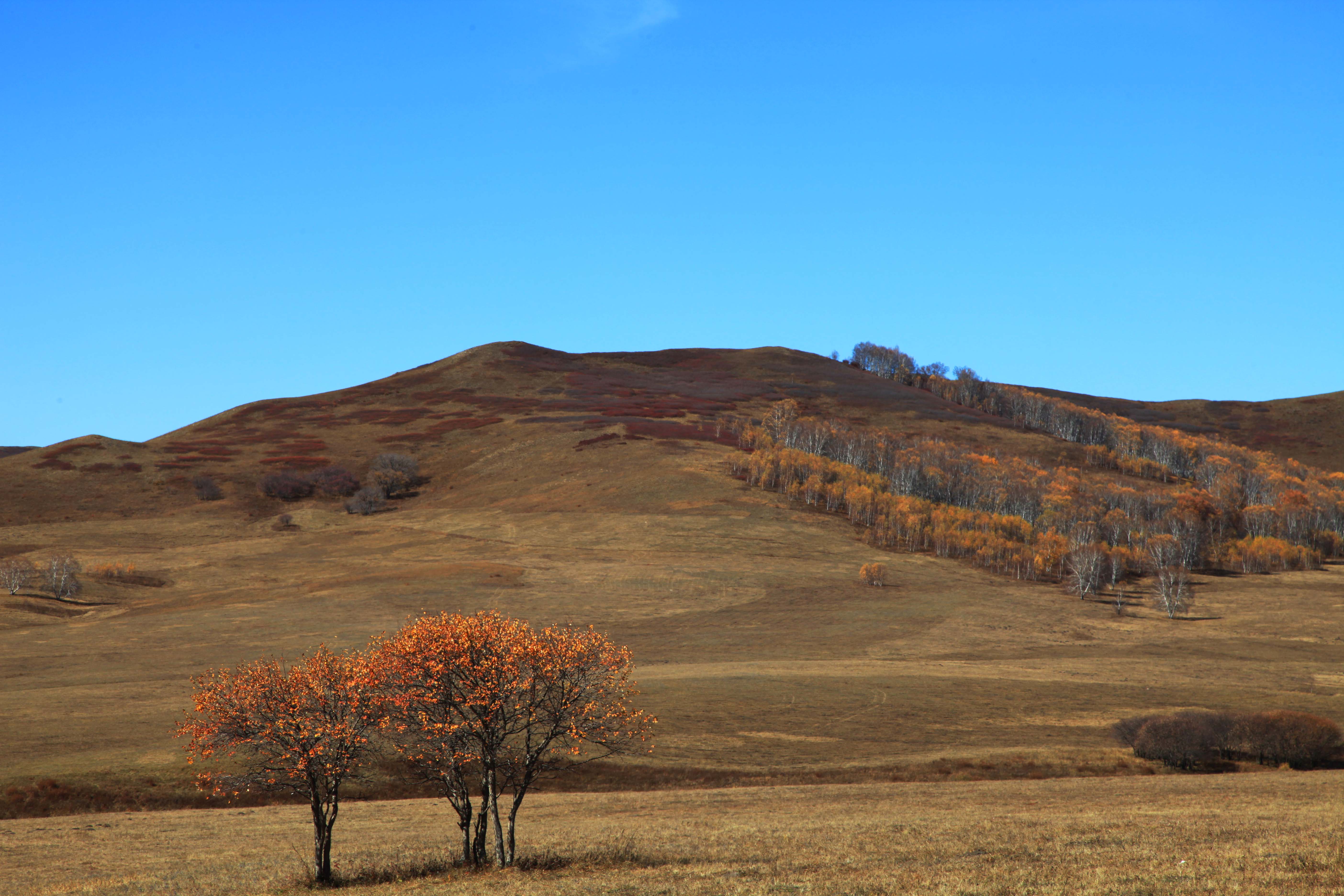  p>承德坝上草原位于 a href="#" data-lemmaid="1648392">内蒙古高原