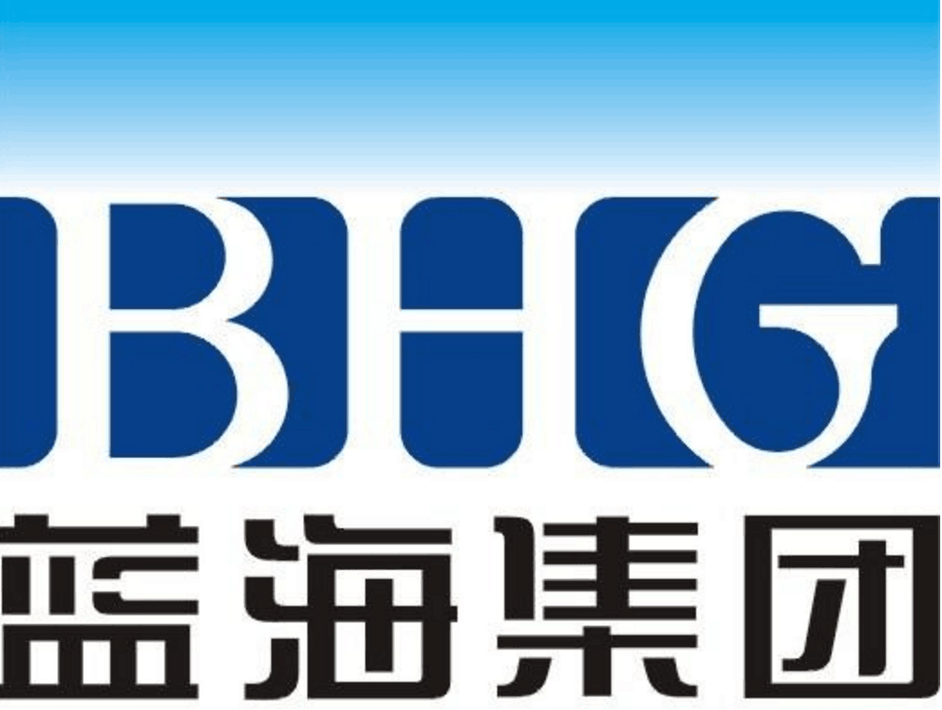 山东蓝海股份有限公司,即蓝海酒店集团,创立