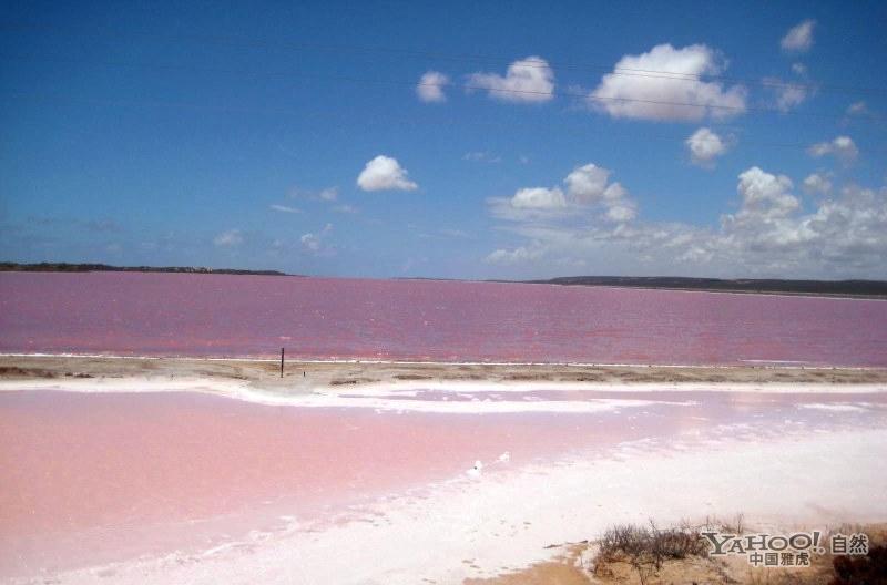  p>咸水湖(salt water lake)是水的含盐度超过1‰的 a href="#" data