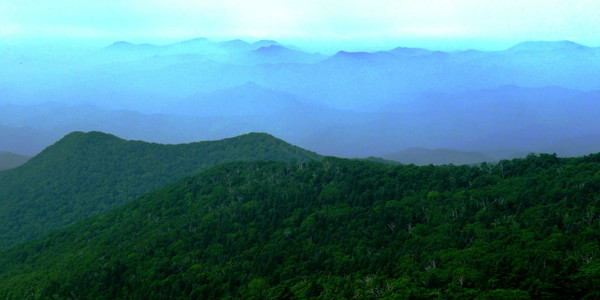 苍龙山原始森林公园