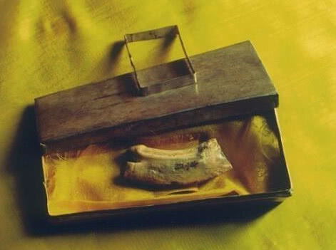 悟空佛牙在山东省<a target="