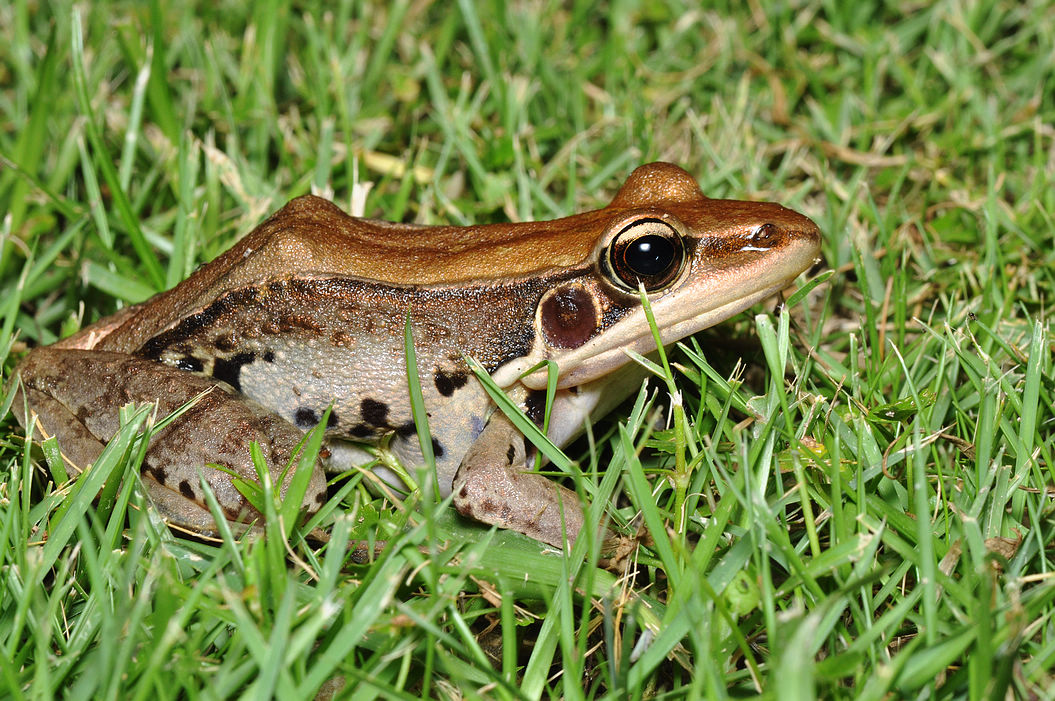 福建五虎山国家森林公园