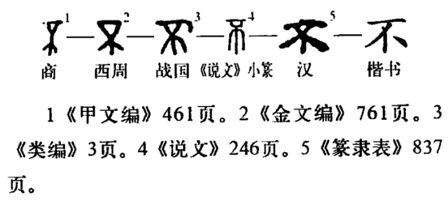 字形演变