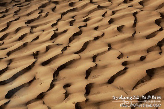 非洲撒哈拉大沙漠