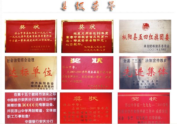安徽省枞阳县浮山中学