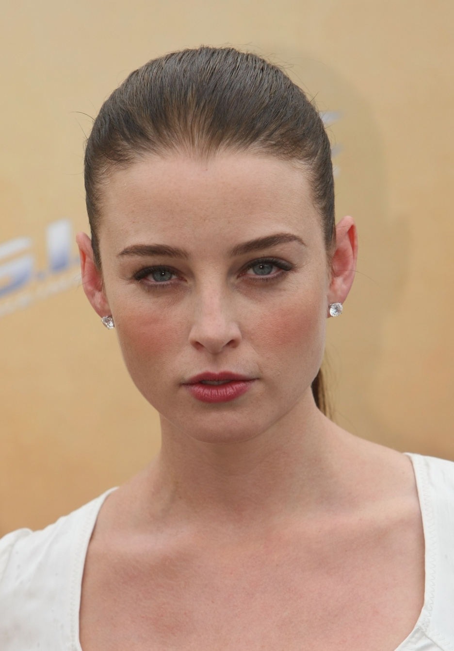 瑞秋·尼科尔斯