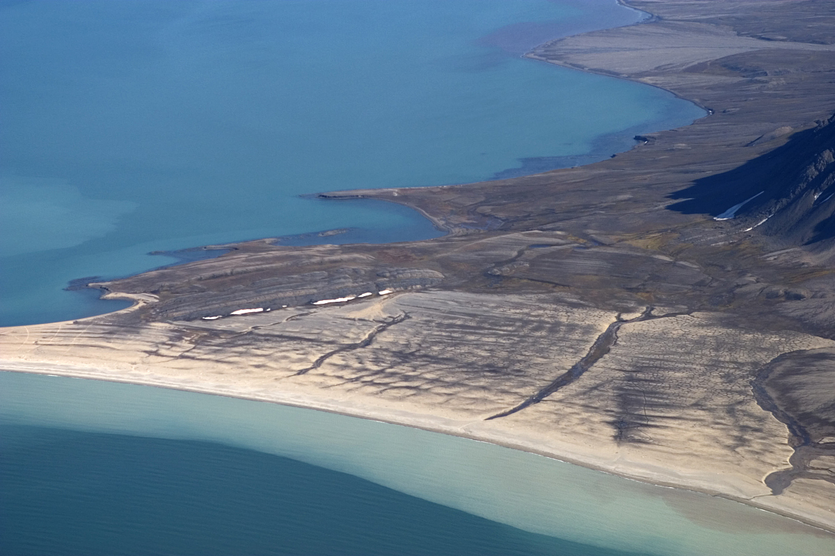 或由海积作用形成的海滩,以及因海平面相对升降而被拾升或沉降的海蚀