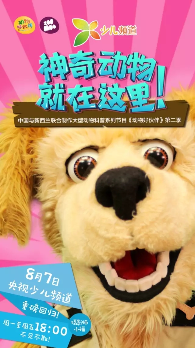 动物好伙伴第二季