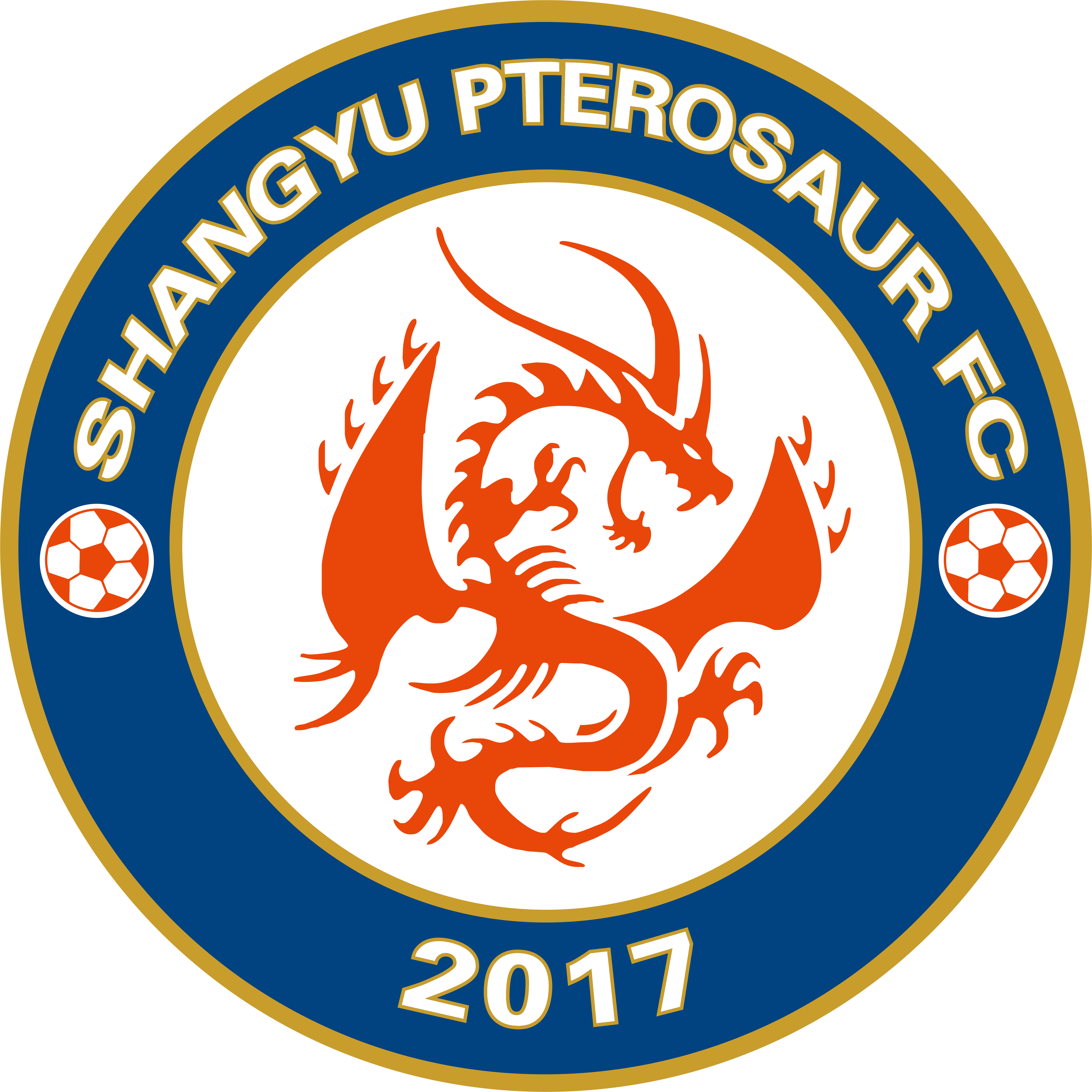 2023年中国足球协会杯