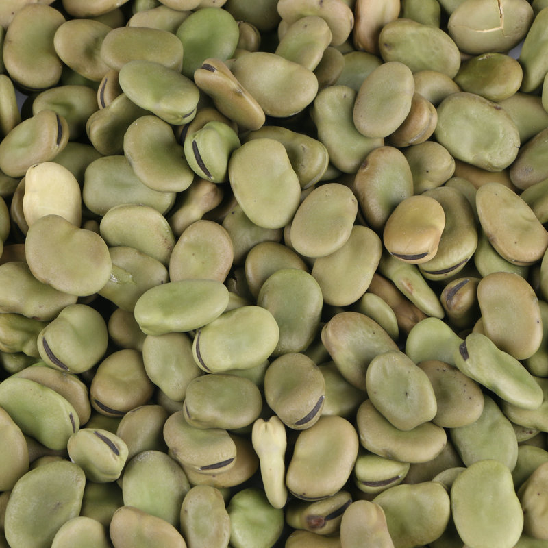  p>大青皮蚕豆是一种营养价值比较高的豆类. /p>