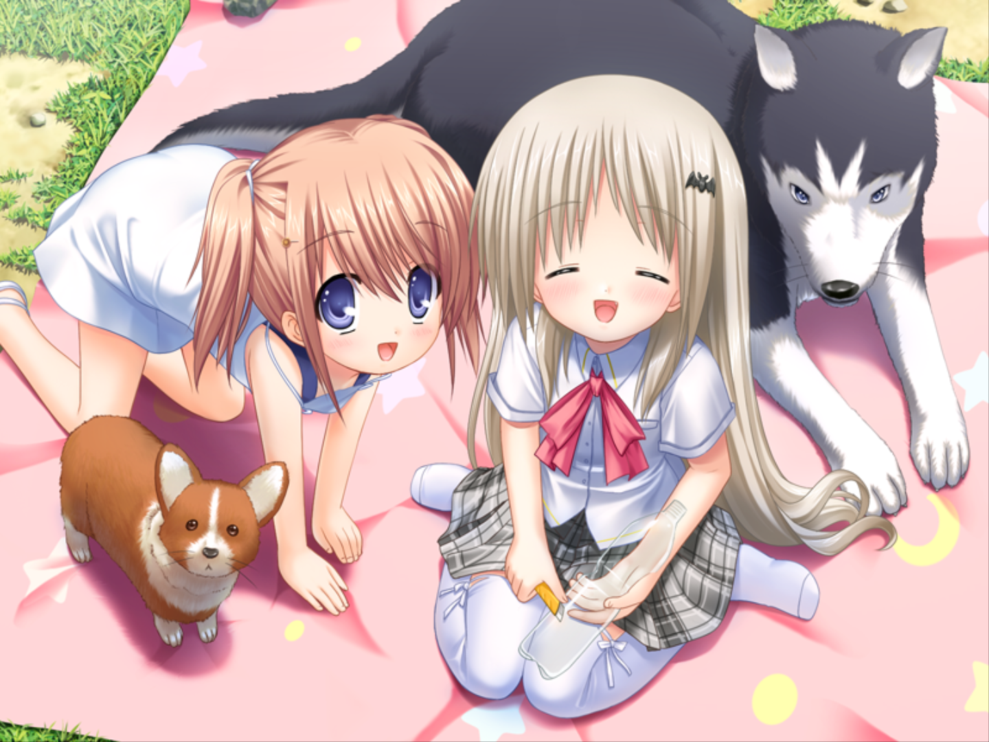 Кудрявка Анатольевна Стругацкая