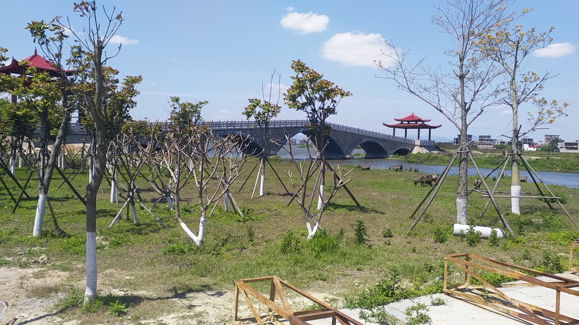 莆田土海湿地公园