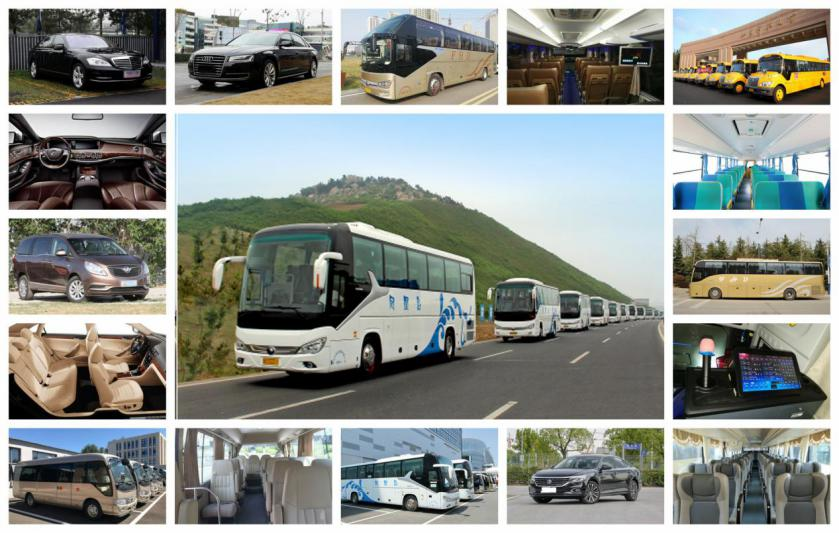 青岛凤凰岛出行服务有限公司