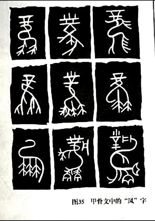 凤凰（中国古代神话中的神兽）_百度百科