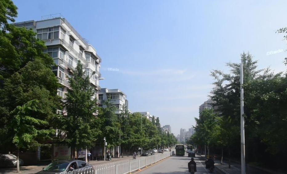 紫阳街道