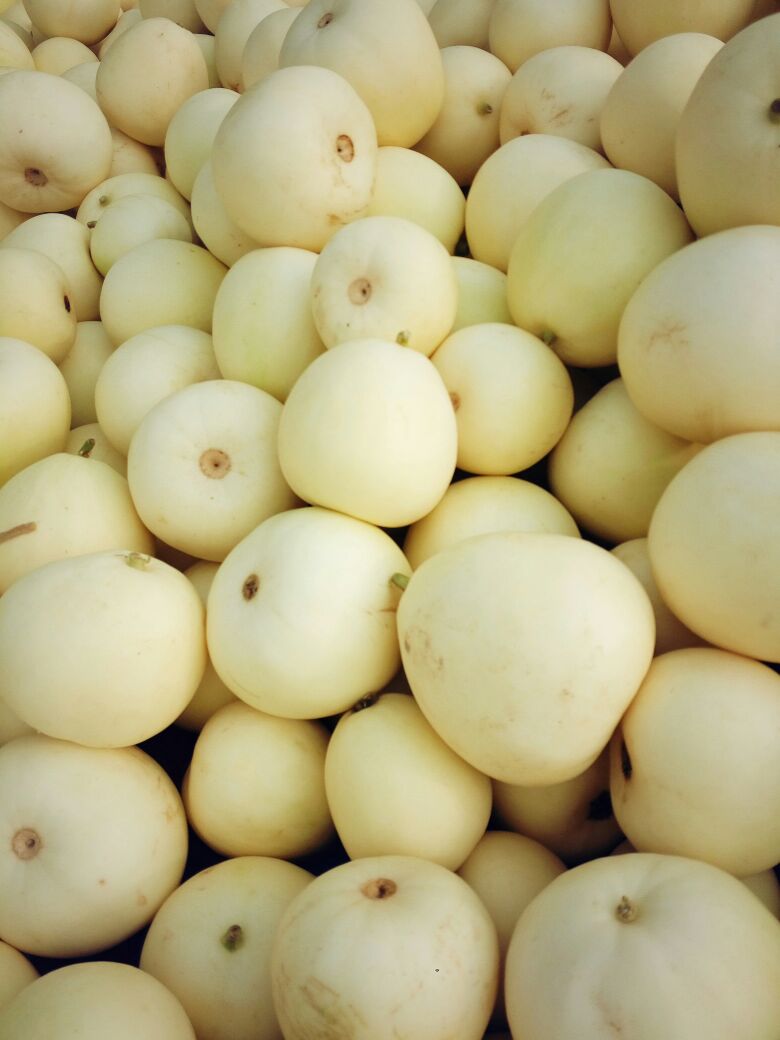 山东喻屯甜瓜节