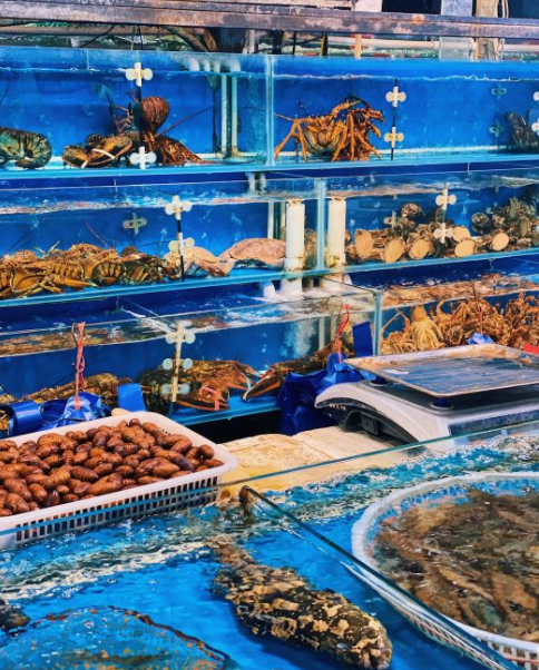  p>王四营海鲜是一家位于北京市朝阳区京哈高速(盛华宏林批发市场)的