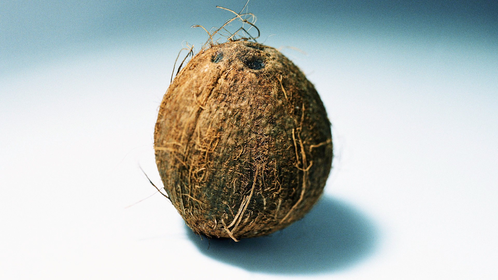 椰子果thecocoanuts(1929)