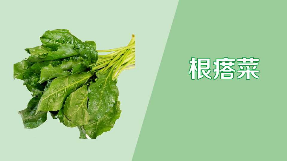 根瘩菜:营养价值很高,富含多种微量元素