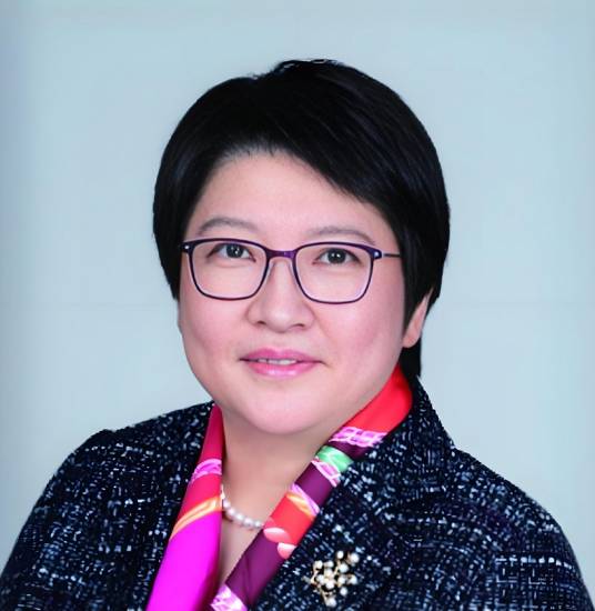 丁晨（南方东英资产管理有限公司总裁，香港金融发展局董事会副主席）_百度百科