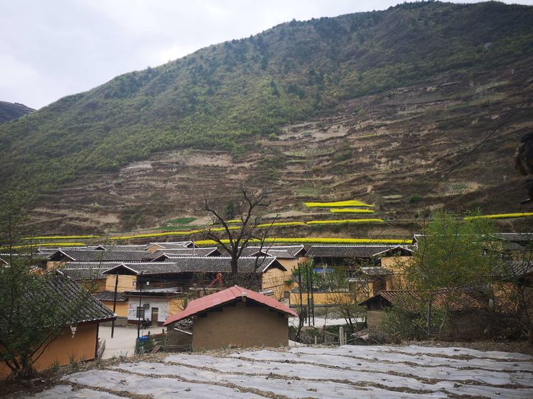  p data-id="gn2xfw4bbm">中寨镇,隶属于甘肃省陇南市文县,地处 a