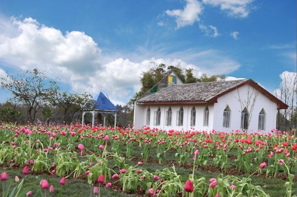 蓬溪县天福万象第四届郁金香观赏节将于3月6日盛大开园 百科ta说