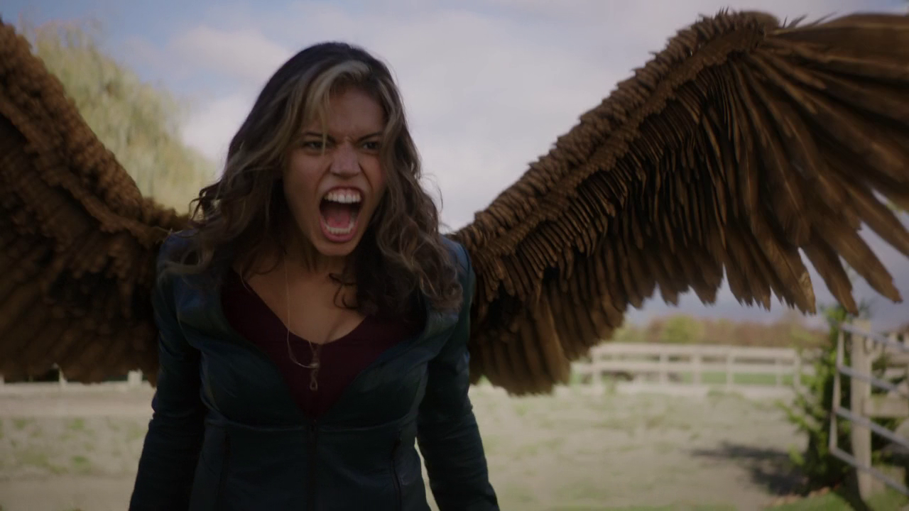  p>鹰女(hawkgirl)是美国 a target="_blank" h