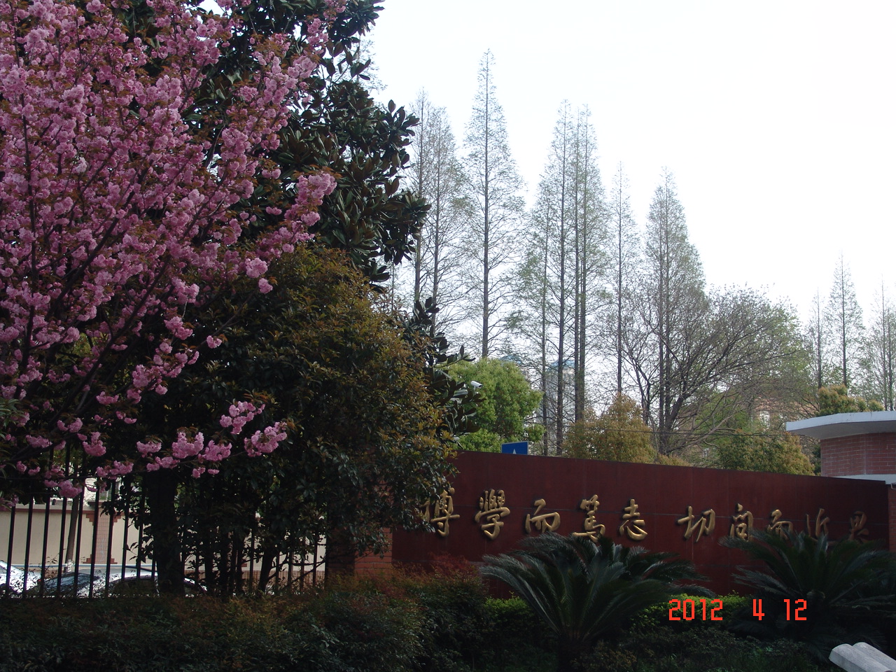 复旦大学二附中