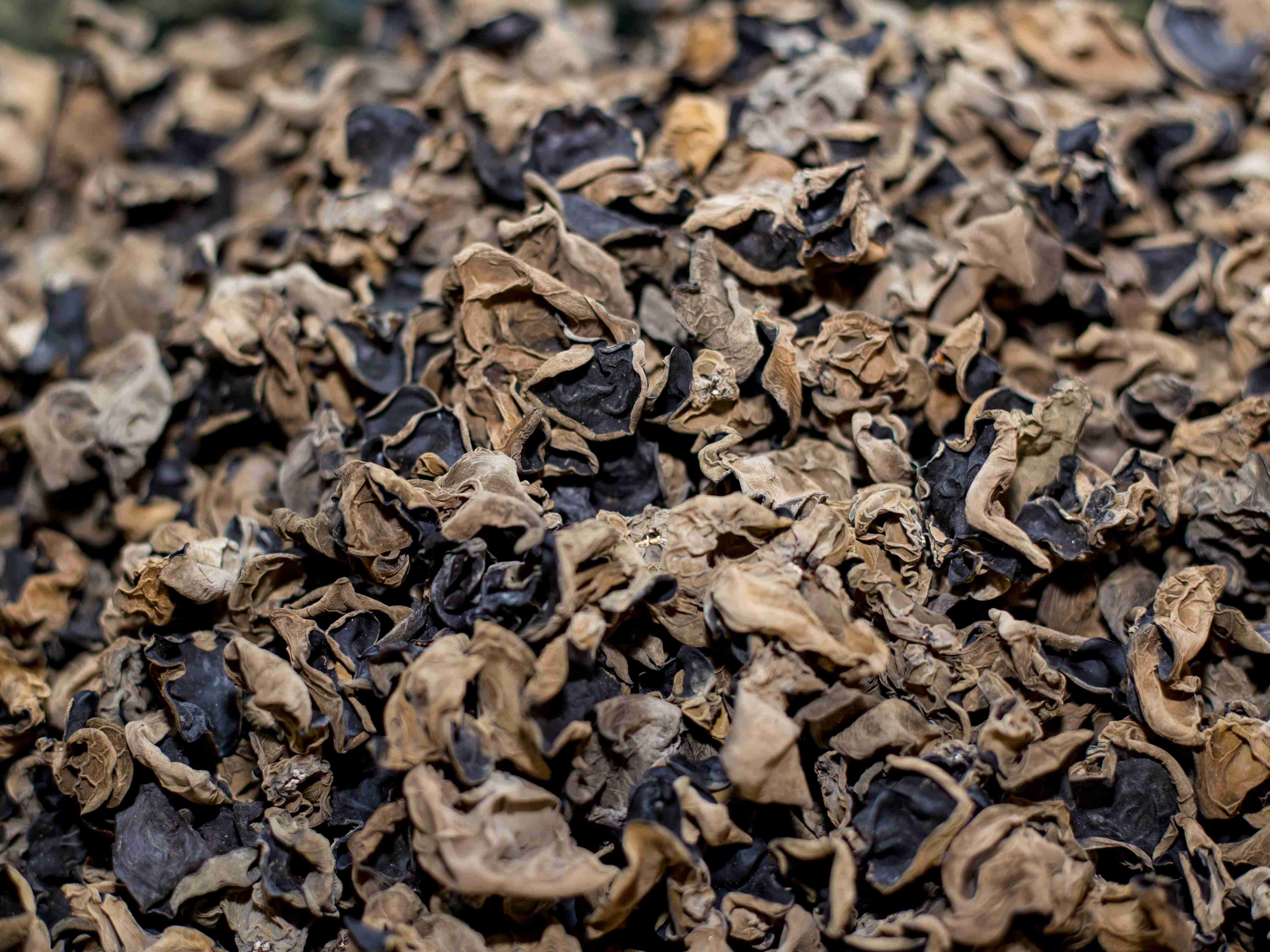 target="_blank" href="/item/尚志市/179029" data-lemmaid="179029"