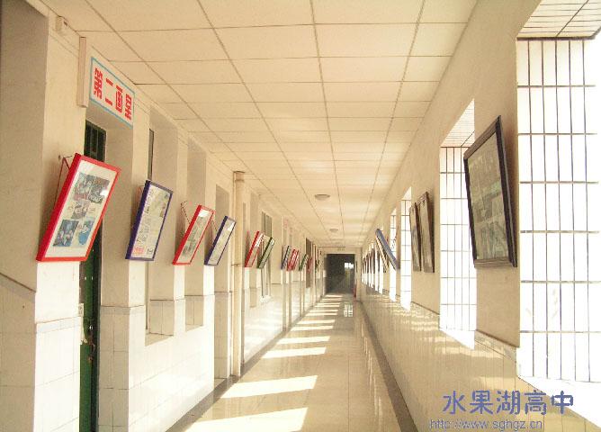  p>湖北省水果湖高级中学建于1958年,位于湖北省武汉市武昌区东湖路60