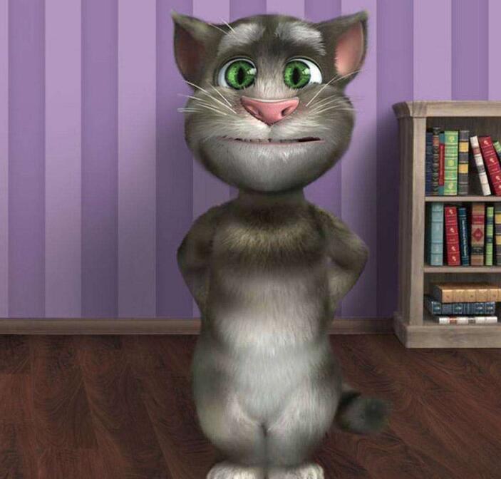 会说话的汤姆猫