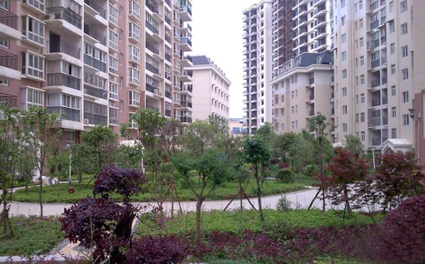 枫林美景