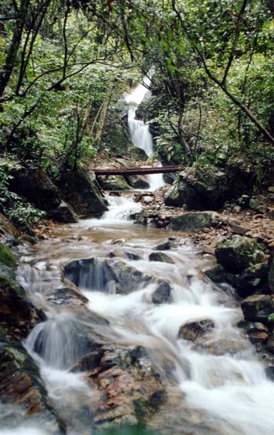 千岛湖森林氧吧