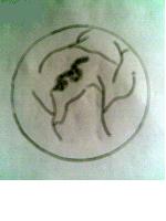  p>黑曲霉, a href="#" data-lemmaid="3630030">半知菌亚门 /a>, a