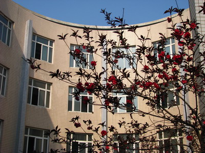  p> b>邢台市第二中学 /b>是一所 a href="#" data-lemmaid="10814715